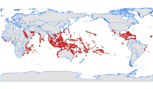 ../assets/images/featured/Posts/world_coral_reef.jpg